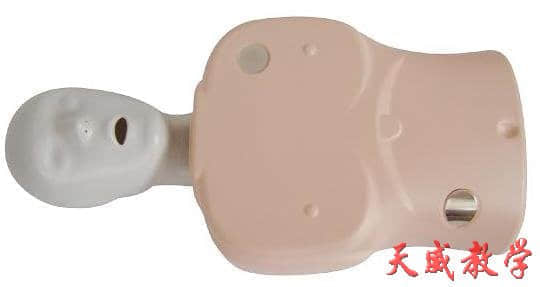 性價比最高的便宜心肺復(fù)蘇模擬人